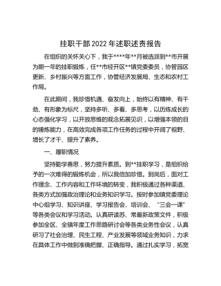 挂职干部2022年述职述责报告3800字