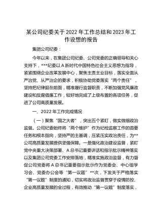 公司纪委2022年工作总结