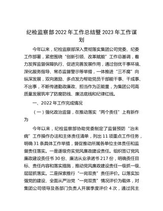 公司纪检监察部2022年工作总结暨2023年工作谋划