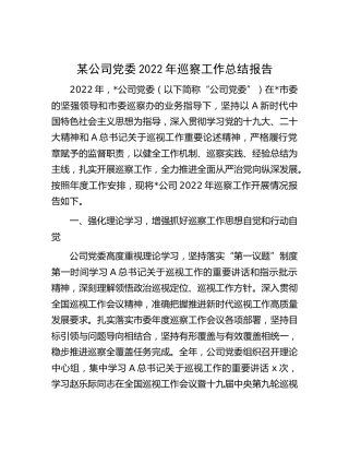 公司党委2022年巡察工作开展总结报告