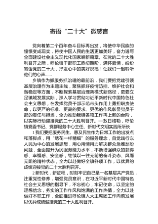 寄语“二十大”微感言心得体会