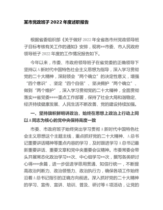 领导班子2022年度述职报告（市6500字）