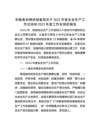 粮食和物资储备局2022年度安全生产工作总结