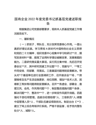 公司2022年党委书记抓基层党建述职报告