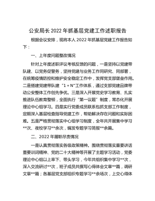 公安局长2022年抓基层党建工作述职报告2700字