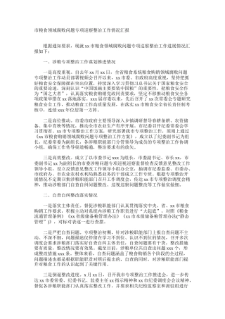 市粮食领域腐败问题专项巡察整治工作情况汇报