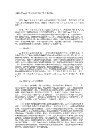 市粮食局内审工作总结及下步工作计划报告
