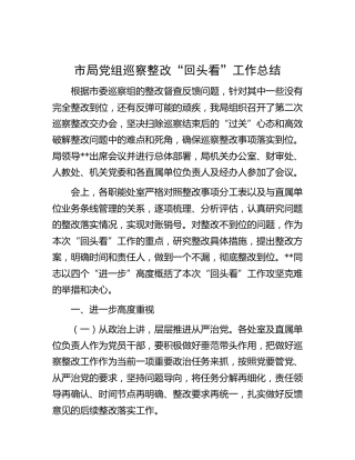 局党组巡察整改“回头看”工作总结