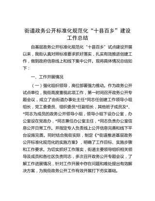 街道政务公开标准化规范化“十县百乡”建设工作总结（乡镇）