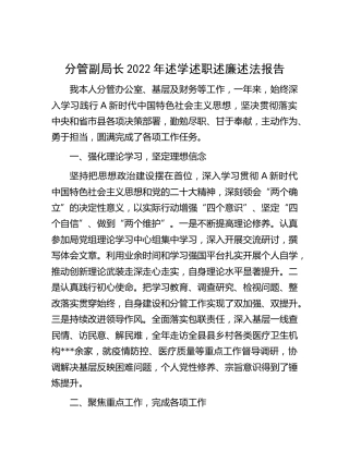 副局长2022年述学述职述廉述法报告2700字