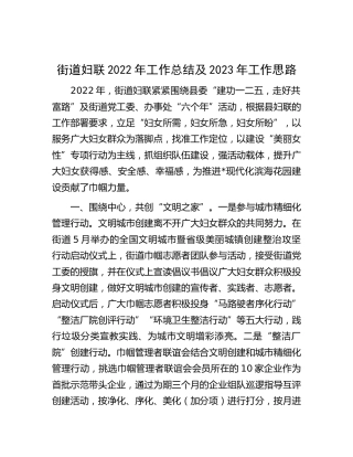 街道妇联2022年工作总结及2023年工作思路（乡镇）
