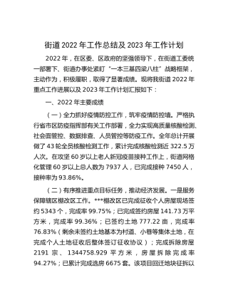 街道2022年工作总结 (2)