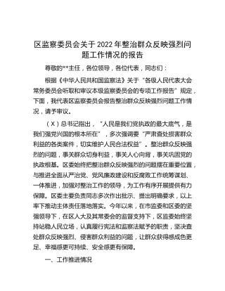 监察委员会关于2022年整治群众反映强烈问题工作情况的报告