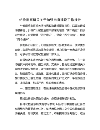 纪检监察机关加强自身建设工作报告