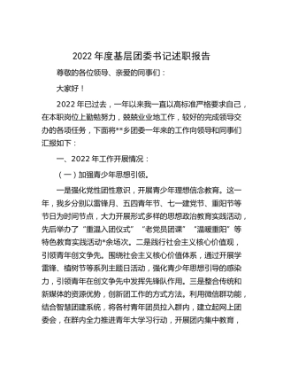 基层团委书记述职报告