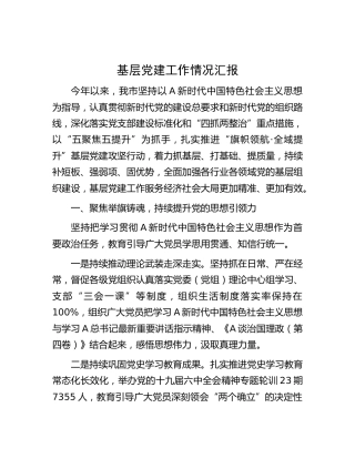 基层党建工作情况汇报（市）