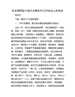 在全乡镇两级干部大会暨农村工作会议上的讲话
