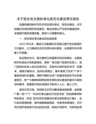 国企公司党支部标准化规范化建设情况报告