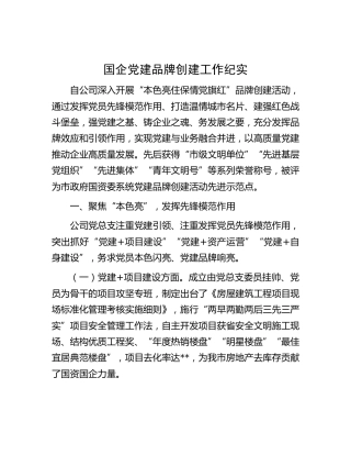 国企公司党建品牌创建工作总结纪实