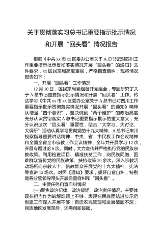 贯彻落实总书记重要指示批示情况和开展“回头看”情况报告
