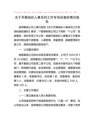 公司组织人事系列工作专项自查情况报告