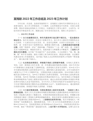 残联2022年工作总结及2023年工作计划