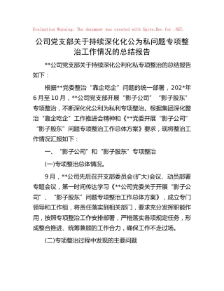 公司持续深化化公为私问题专项整治工作情况的总结报告
