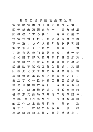 共青团基层组织改革工作经验汇报