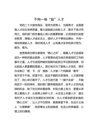 x大心得体会：不拘一格“励”人才（盛会）