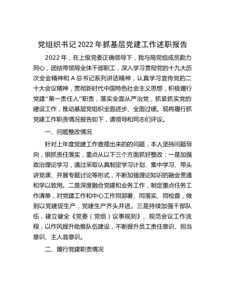 2022年抓基层党建述职报告2900字
