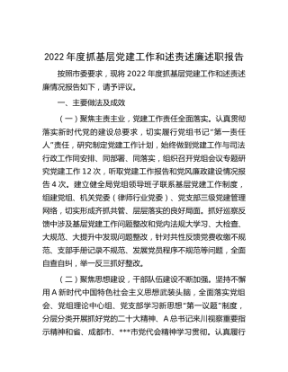 2022年抓基层党建工作和述责述廉述职报告（司法3700字）
