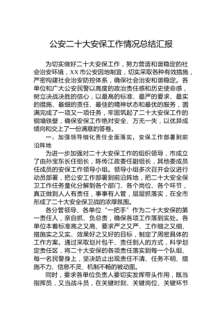 二十大维稳安保工作情况总结汇报（公安）