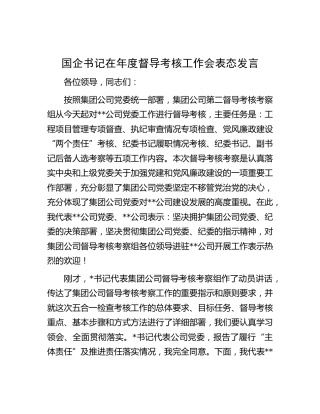 国企书记在年度督导考核工作会表态发言（公司）