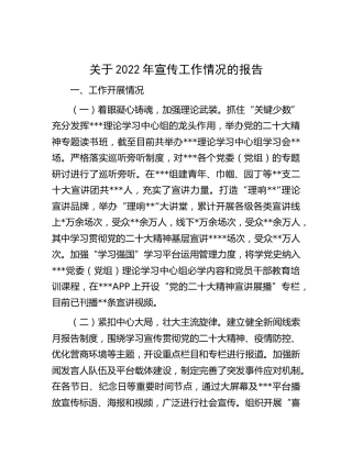 2022年宣传工作总结报告