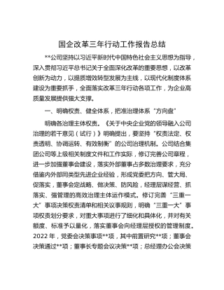 国企改革三年行动工作报告总结（公司）