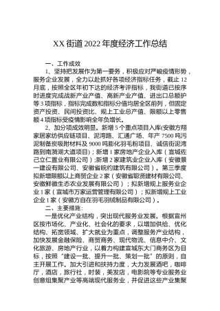 乡镇街道2022年度经济工作汇报