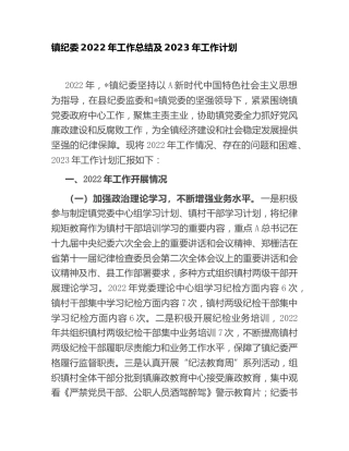 乡镇纪委2022年工作总结及2023年工作计划