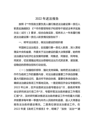 2022年述法报告4400字