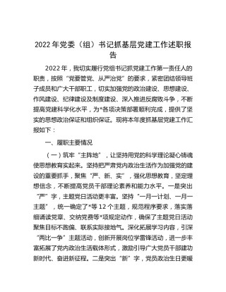 2022年书记抓基层党建工作述职报告3800字