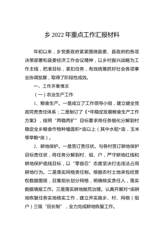 乡镇2022年重点工作汇报材料