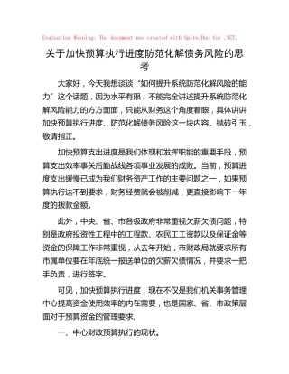 关于加快预算执行进度防范化解债务风险的发言