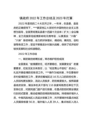 乡镇2022年工作总结 (4900字)