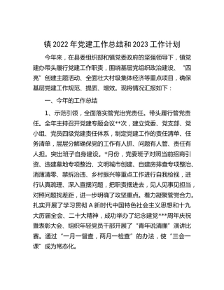 乡镇2022年党建工作总结3000字