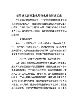 公司党支部标准化规范化建设情况汇报