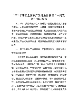 2022年落实全面从严治党主体责任“一岗双责”情况报告