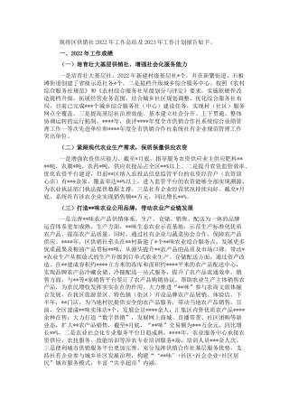供销社2022年工作总结及2023年工作计划