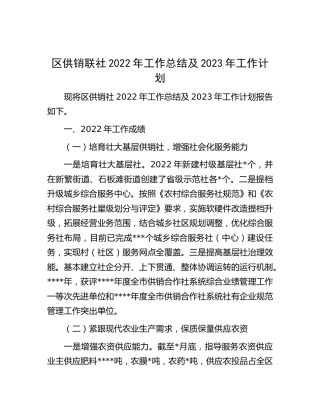 供销联社2022年工作总结及2023年工作计划 (2)