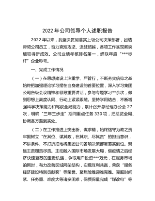 2022年公司领导个人述职报告2500字