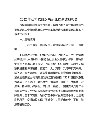 2022年公司党组织书记抓党建述职报告7400字