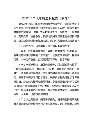 2022年个人年终述职报告（公司）